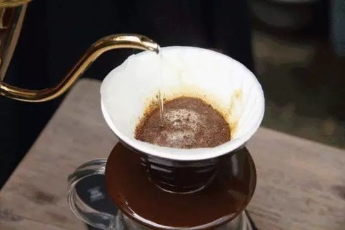 在世界长寿之乡的美丽乡村里喝咖啡是什么感受,这家店能告诉你