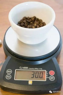 如何用chemex咖啡壶制作咖啡 chemex滴滤壶使用教程