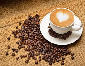 茉莉cafe加盟多扶持 开店无后顾之忧